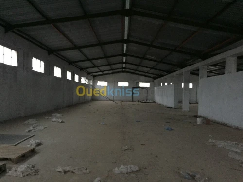 Vente Usine Tlemcen Hennaya