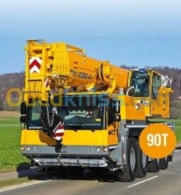 Location grues toutes tonnages