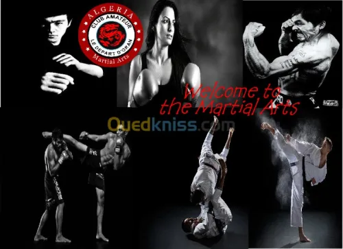 sports de combat"arts martiaux"