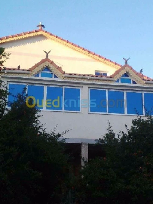 Menuiserie Aluminium et faux plafond p