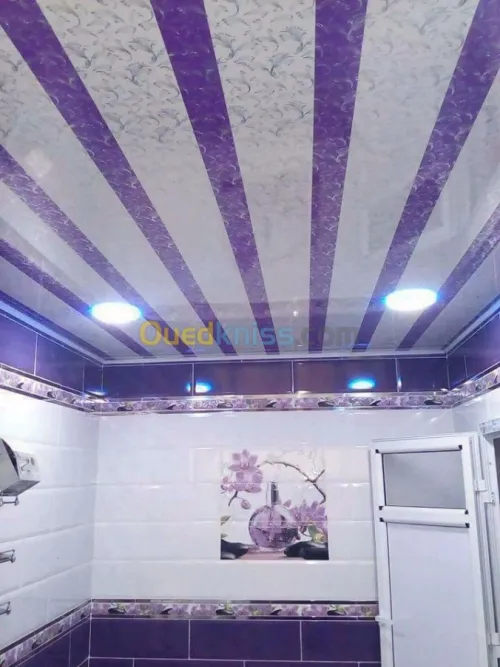 Menuiserie Aluminium et faux plafond p