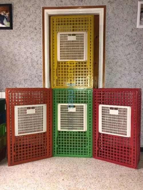 Emballage plastique cage à poule caisse agricol perdu