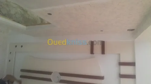 أعمال صبغ.  وديكور  