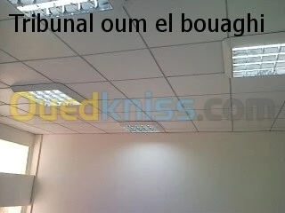 faux plafond ( démontable ) 