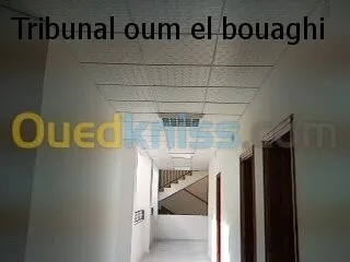 faux plafond ( démontable ) 