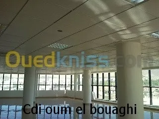 faux plafond ( démontable ) 