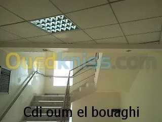 faux plafond ( démontable ) 