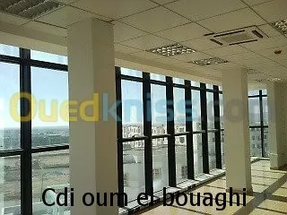 faux plafond ( démontable ) 