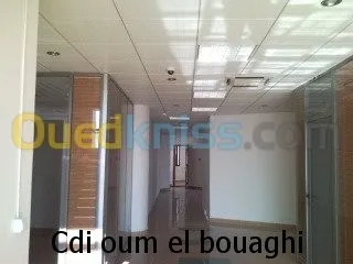 faux plafond ( démontable ) 