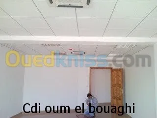 faux plafond ( démontable ) 