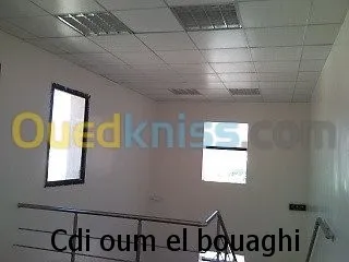 faux plafond ( démontable ) 