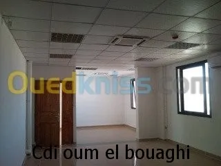 faux plafond ( démontable ) 