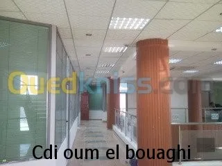 faux plafond ( démontable ) 