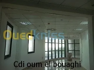 faux plafond ( démontable ) 