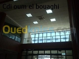 faux plafond ( démontable ) 