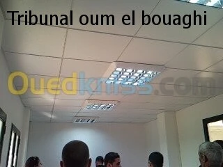 faux plafond ( démontable ) 
