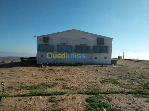 Vente Terrain Agricole Bordj bou arreridj Ain taghrout