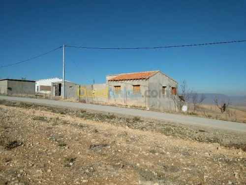 Vente Terrain Agricole Bordj bou arreridj Ain taghrout