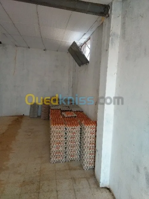Vente Terrain Agricole Bordj bou arreridj Ain taghrout