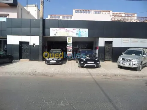 Tôlerie peinture professionnel