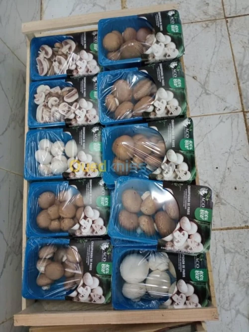 champignons frais 