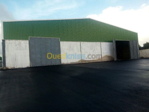 Location Hangar Jijel Taher