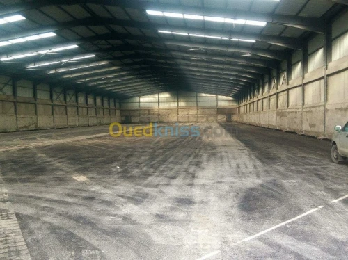 Location Hangar Jijel Taher