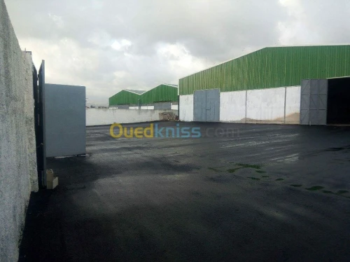 Location Hangar Jijel Taher