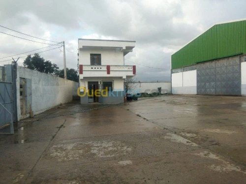Location Hangar Jijel Taher