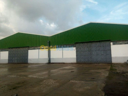 Location Hangar Jijel Taher
