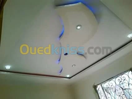 faux plafonds et separations