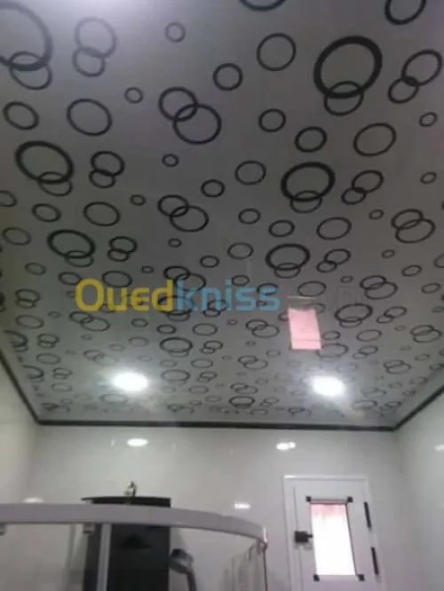faux plafonds et separations