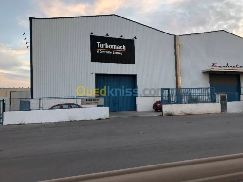 Location Hangar Alger Oued smar