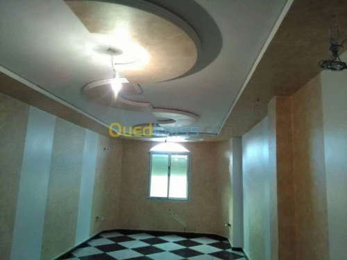 placoplatre /peinture 