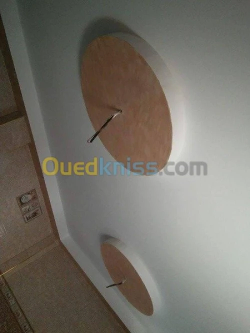 placoplatre /peinture 