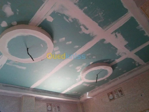 placoplatre /peinture 