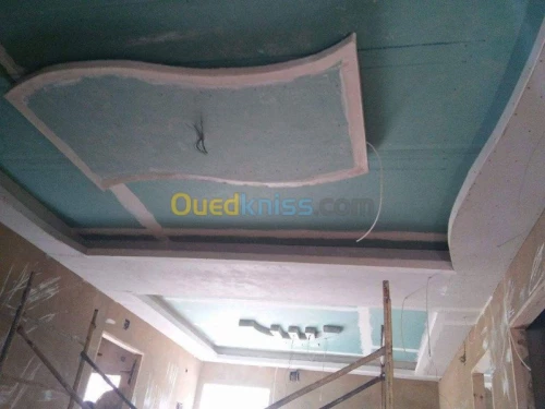 placoplatre /peinture 