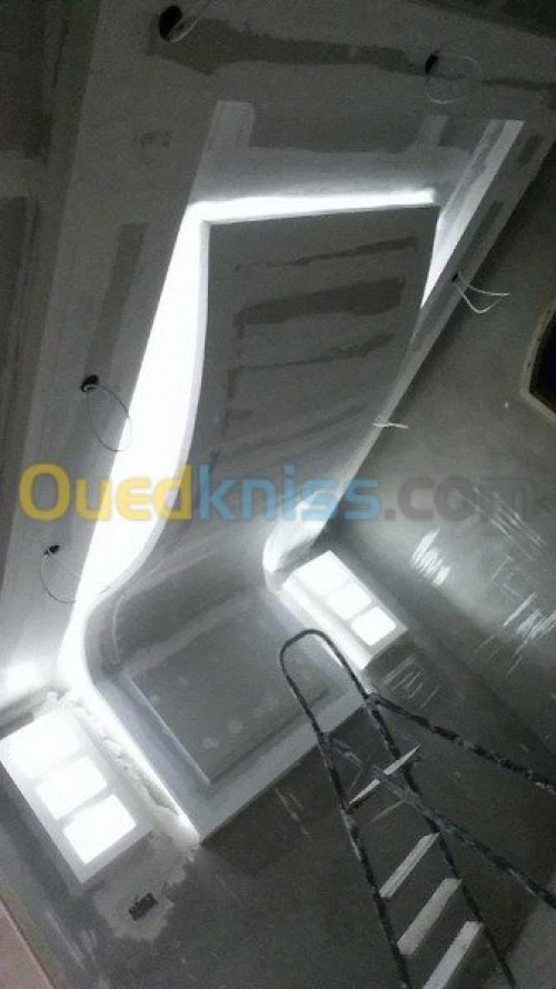 placoplatre /peinture 