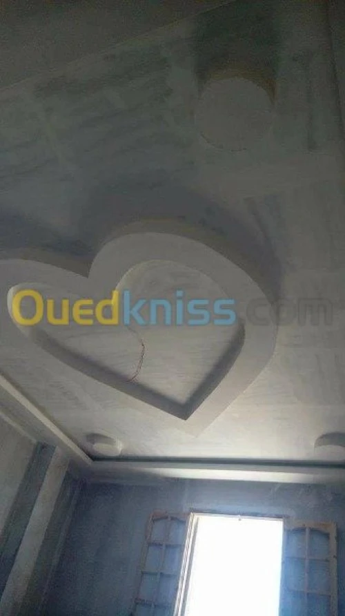 placoplatre /peinture 