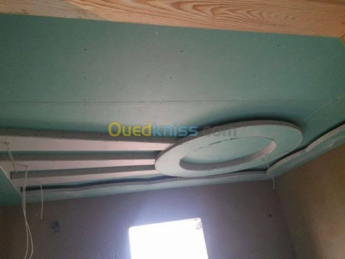 placoplatre /peinture 