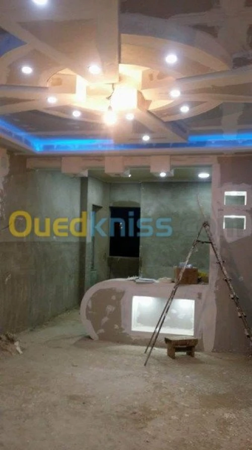 placoplatre /peinture 