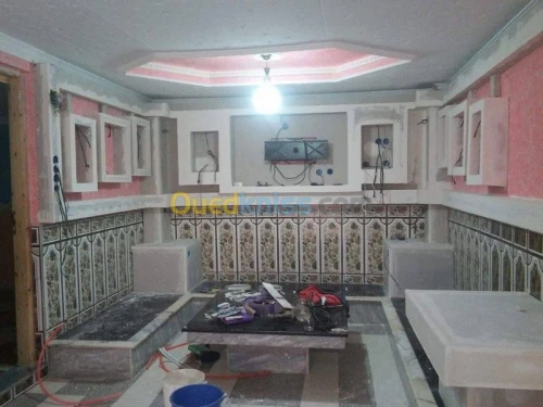 placoplatre /peinture 