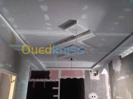 placoplatre /peinture 