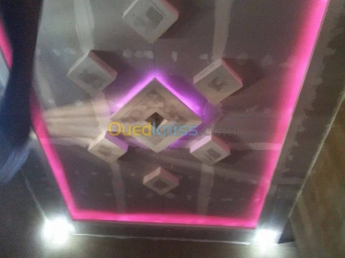 placoplatre /peinture 