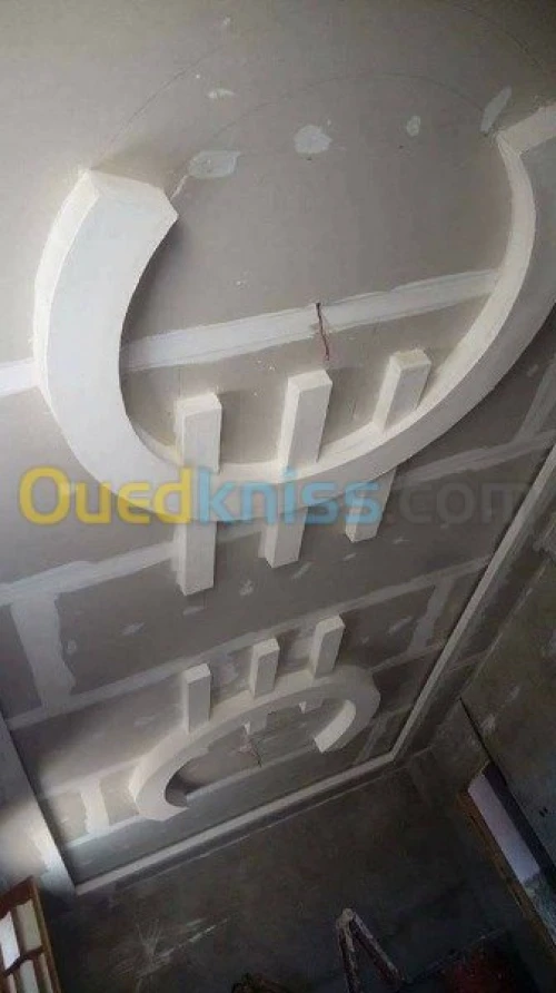 placoplatre /peinture 