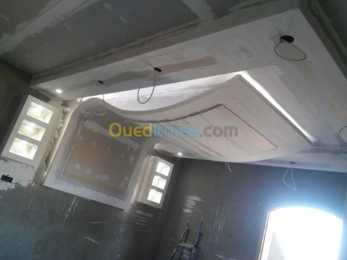 placoplatre /peinture 