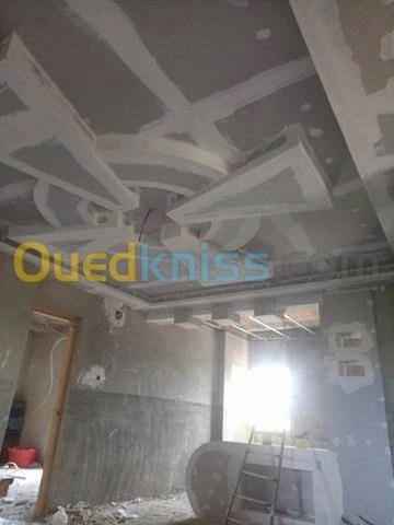 placoplatre /peinture 