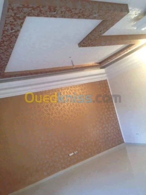 placoplatre /peinture 