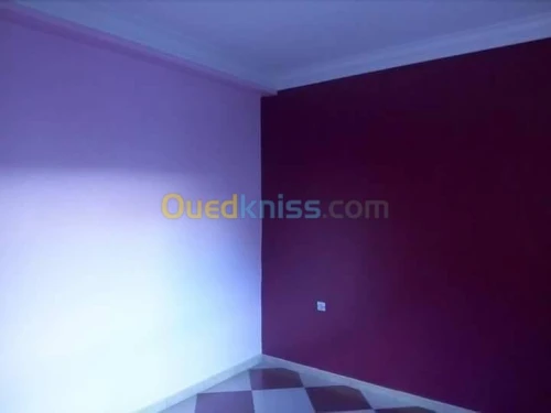 placoplatre /peinture 