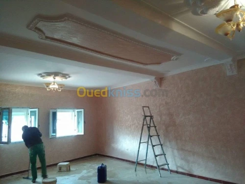 placoplatre /peinture 